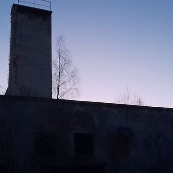 Calf (2025) Calf (2025)