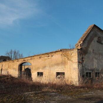 Riesiges Sparschwein