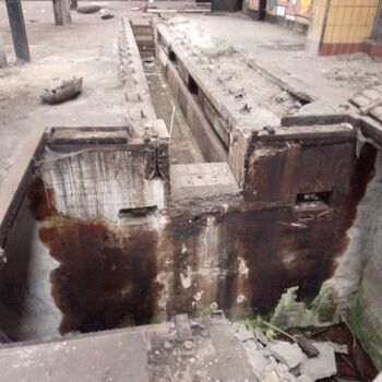 Railway depot in the middle of the "forest" 2024