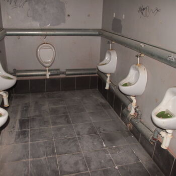 Versicherungsschutz unter dem Sitz der Autofirma Versicherungsschutz unter dem Sitz der Autofirma