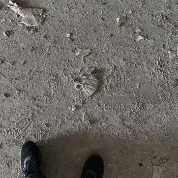 Nová Palmovka / Neues EUSPA-Zentrum