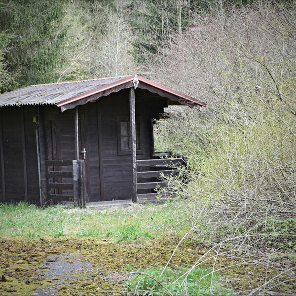 OZDRAVOVNA VOJTĚCHOV,OKOLÍ - DÍL II.