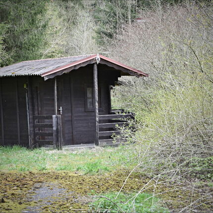 OZDRAVOVNA VOJTĚCHOV,OKOLÍ - DÍL II. OZDRAVOVNA VOJTĚCHOV,OKOLÍ - DÍL II.