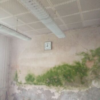 Factory for small legendary trucks.2024