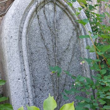 Die vergessene Kirche