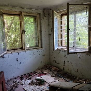 The house by the old vermin factory