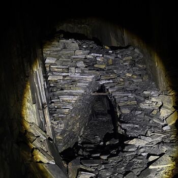 hory, DOLY, černý pes