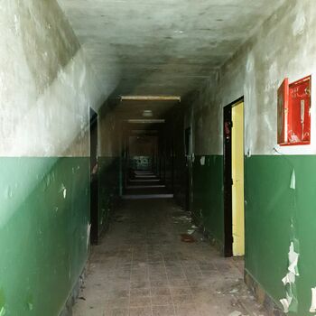 Buňka Architektura Buňka Architektura