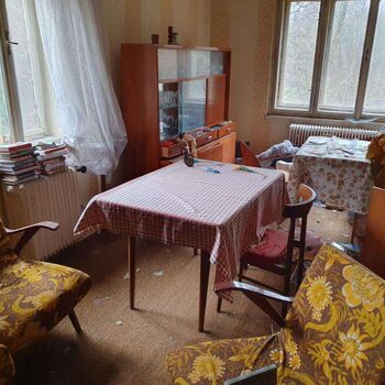 The House of the Schizophrenic The House of the Schizophrenic