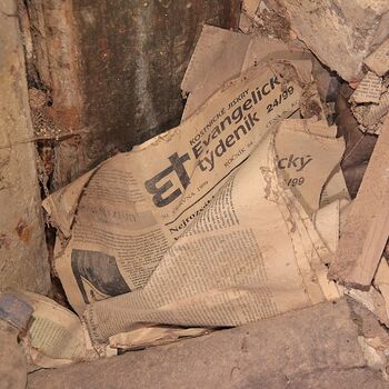 Mill from Snake river