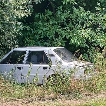 The house by the old vermin factory