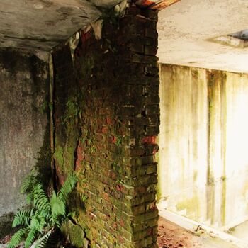 Kyjeváky in der Siedlung Ploužnice 2023