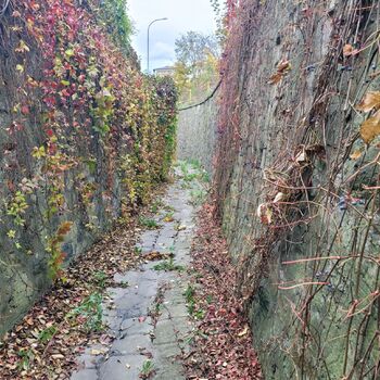 Dešťové stoky ⬇️