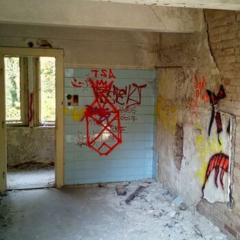 graffito decoration door wall