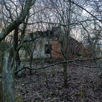 Verlassene Hütte 🏚️🏚️‼️