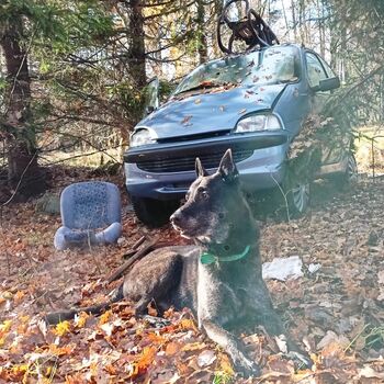 Spitzenschiff 9z10ti...