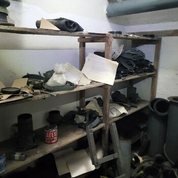 Ein Welpe mit Rüssel