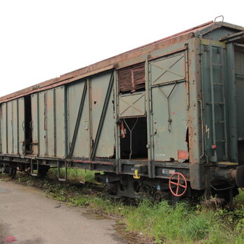 Cargo-Friedhof, nicht nur ein Bardot Cargo-Friedhof, nicht nur ein Bardot