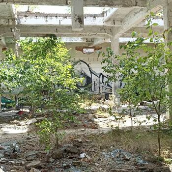 Spinning and weaving mill 2022