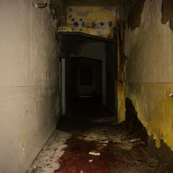 Kam zmizeli poslední pracovníci? Opuštěná přádelna