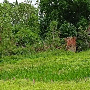 Spitzenschiff 9z10ti...