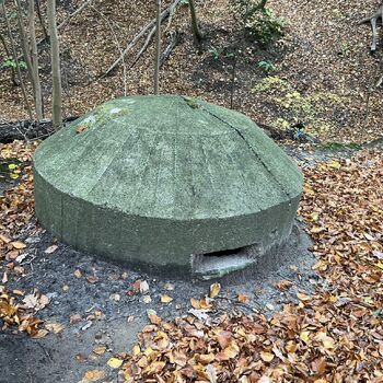 Cannons and bunkers Poland 2025