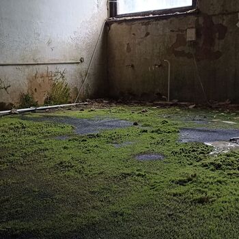 Disco Club 2023 Disco Club 2023