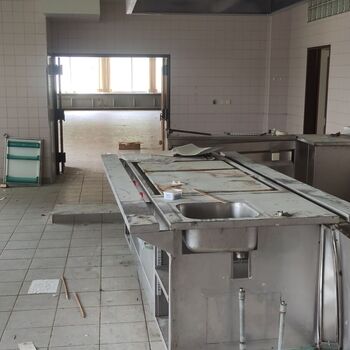 Die Schönheit der österreichischen hor🇦🇹🏔️❤️ Die Schönheit der österreichischen hor🇦🇹🏔️❤️