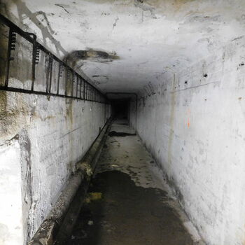 Buňka staré zeď Architektura