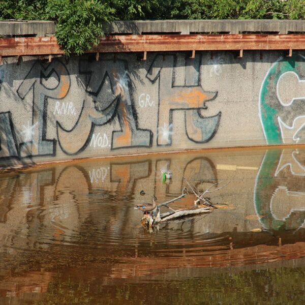 CO cover in the sugar factory