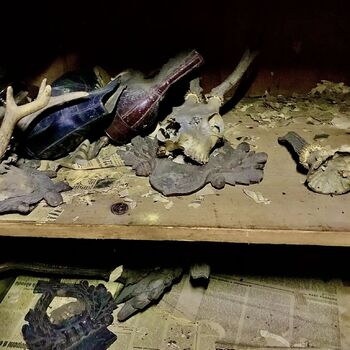 A very personal matter