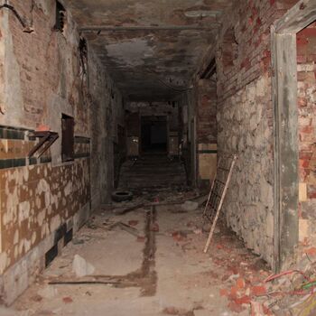 Remembering Elias before the fire