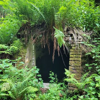 🧨Dynamitka Alfred Nobel & Company