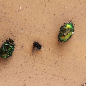 Umkleideraum und Stallungen