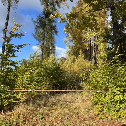 Recreational area 2025