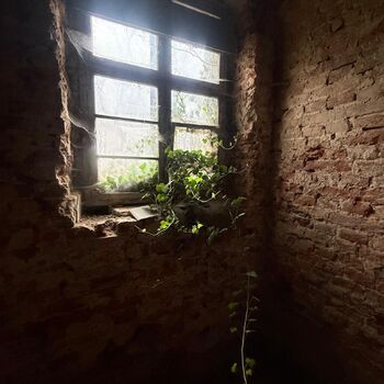 Zámek ve smrk paketu