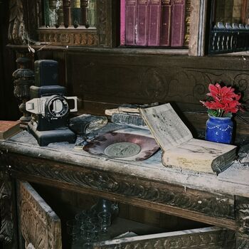 House of Olaf the Collector 🖤🖐️