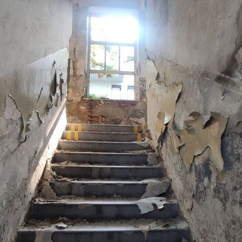 Typia Printing House 📜⏳🏚️