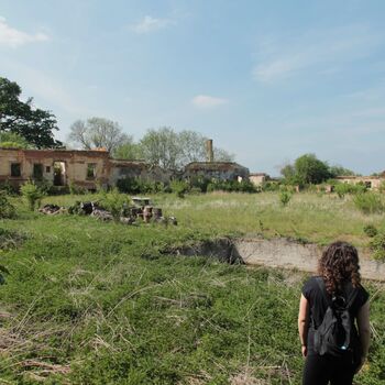 Gehöft vom Ende des 13. Jahrhunderts