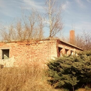 barn farm building building structure landscape