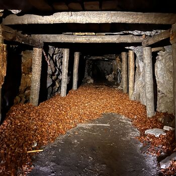 Opuštěný důl 2 -2024