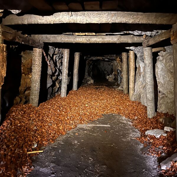 Opuštěný důl 2 -2024