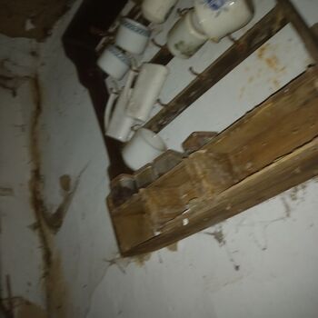 Homestead with a pond