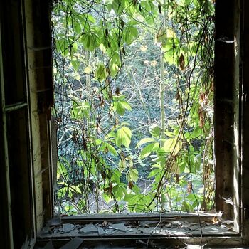 windowsill sill structural member support