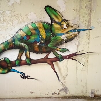 Chameleon hmyz bezobratlí Chameleon hmyz bezobratlí