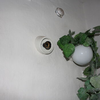 Wo ist der Graf geblieben? Das verlassene Schloss