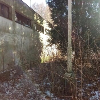 krajina strom Les viadukt Most stromy