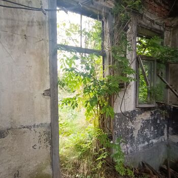 Olomouc - Opuštěný areál (můj 2. urbex) Olomouc - Opuštěný areál (můj 2. urbex)