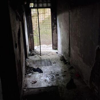 Žižkov abandoned building