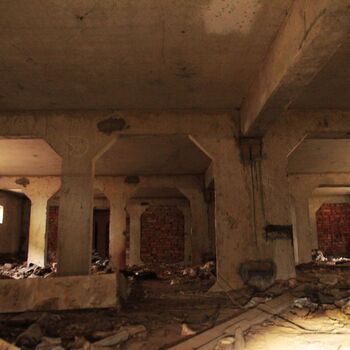 Kyjeváky in der Siedlung Ploužnice 2023